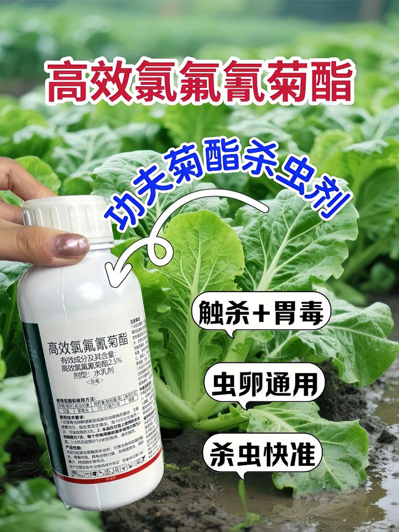 怀柔代生中心:农药对供卵代生妈妈的危害